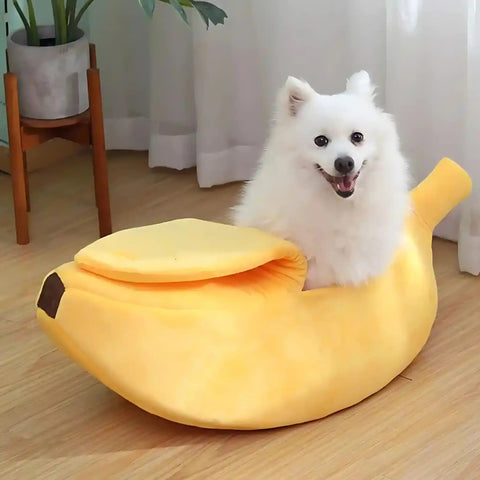 Cama Banana Amarela Para Cães e Gatos A Yeet
