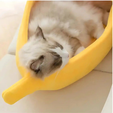 Cama Banana Amarela Para Cães e Gatos A Yeet