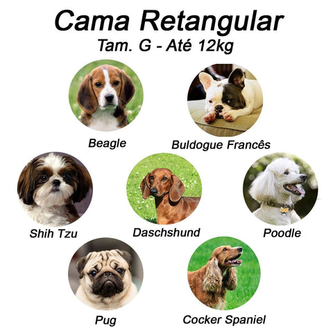 Cama Para Pet Retangular Impermeável Luppet Azul Luppet