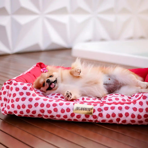 Cama Retangular para Cachorro Luppet Luxo Vermelho Joaninhas Luppet