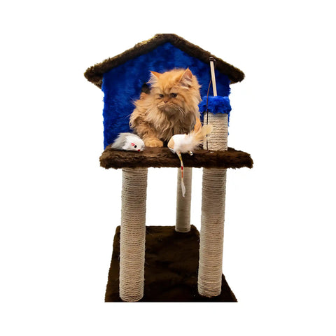 Casinha Gato Arranhador Azul Marrom Sustentável Luppet 4 em 1 Luppet
