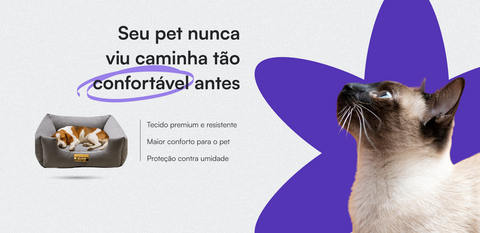 Um gato Siamês olha com admiração para uma cama pet de luxo e confortável da Camas.pet, que promete uma experiência de descanso superior com seu tecido premium e proteção contra umidade.