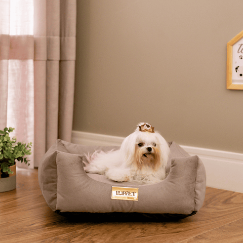 Cama Suede Cinza Luppet para cães e gatos. Elegante, impermeável, 3 tamanhos. Garantia 60 dias + frete grátis!