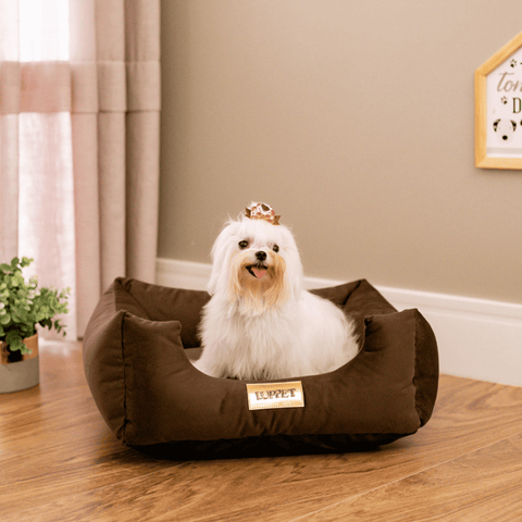 Cama Suede Marrom Luppet para cães e gatos. Aconchegante, impermeável, 3 tamanhos. Garantia 60 dias + frete grátis!